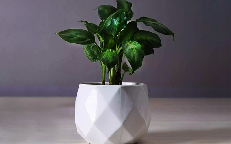 Ceramic Diamond Planter For Indoor Plants