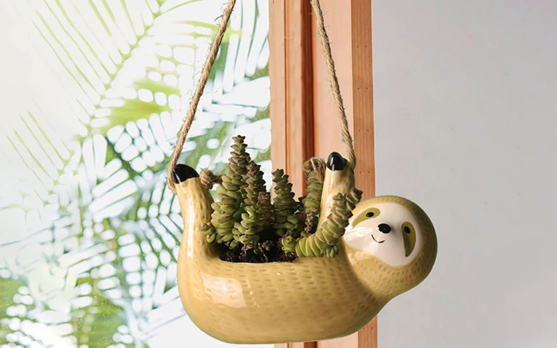 Sloth Hanging Planter For Succulents & Indoor Plants