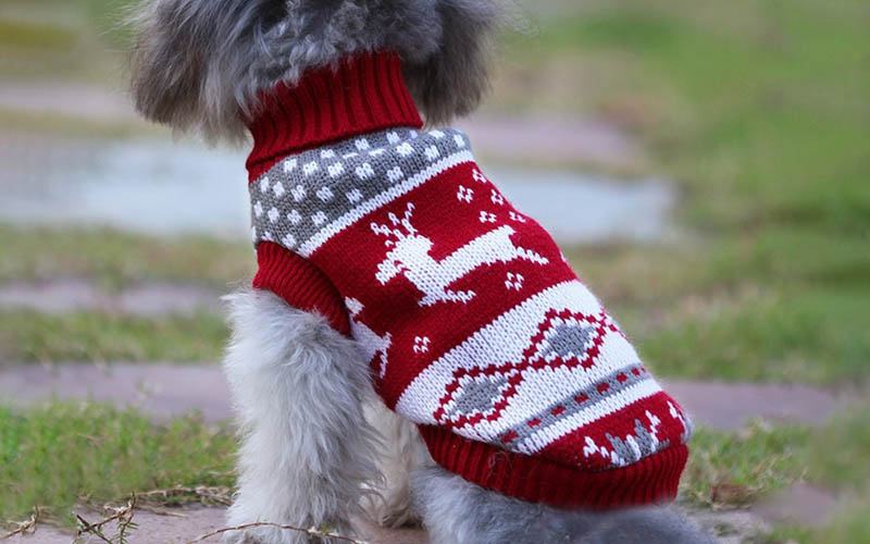 Cute and adorable Christmas dog reindeer costume as gift for dog lovers