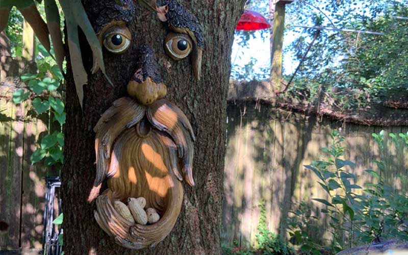 Tree Face Bird Feeder