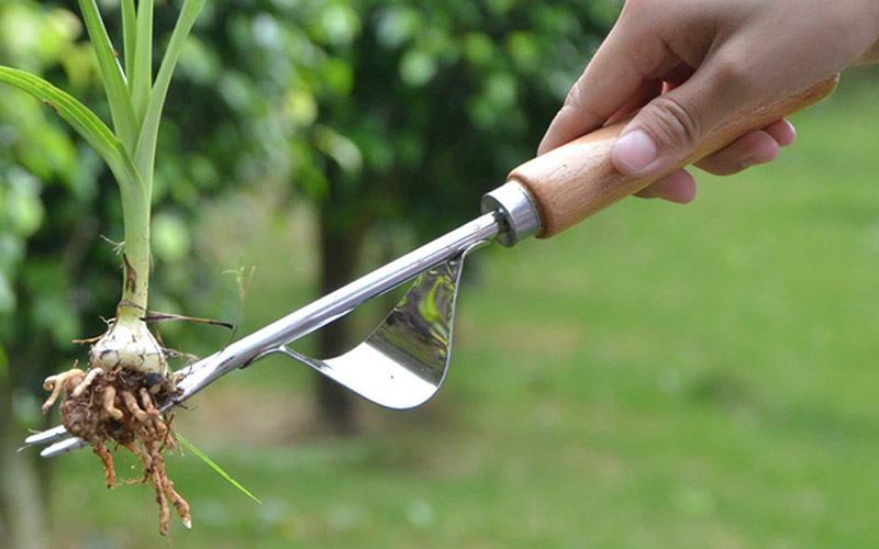 Easy Gardening Weeder