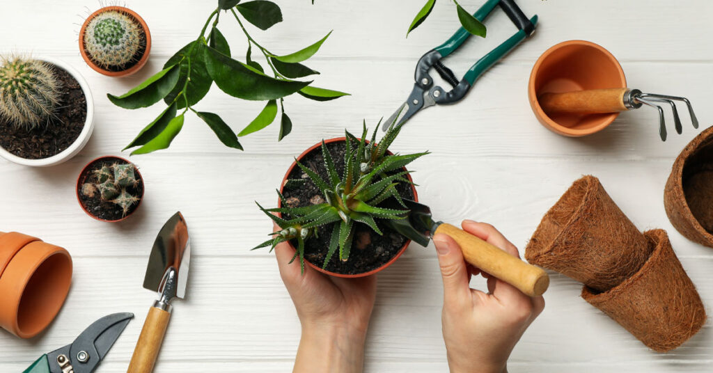 38 Gifts For Indoor Gardeners They Will Feel Elated About