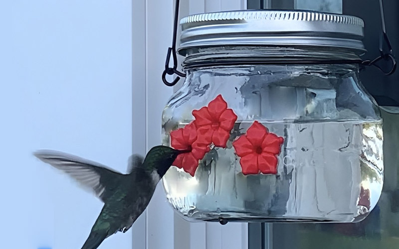 Hummingbird Feeder Plastic Flower Bird Feeder