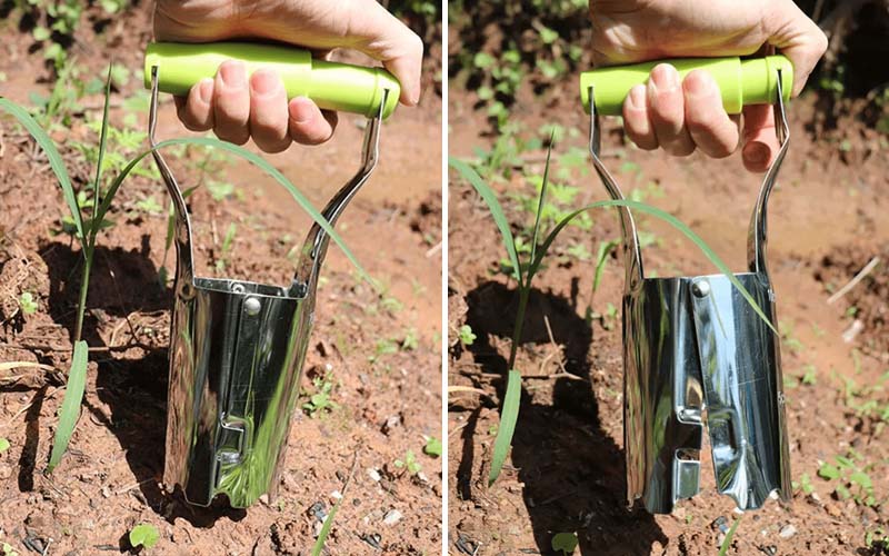 Seedling Easy Transplanter