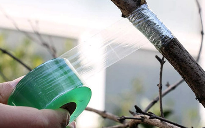 Tree Grafting Tape For Plants