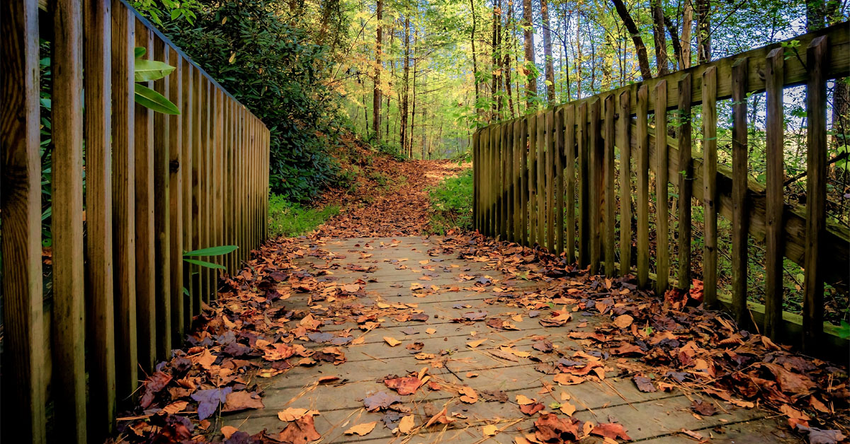 Gifts for nature lovers