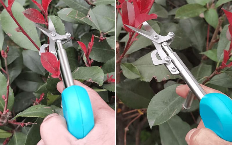 Pointed Gardening Scissors