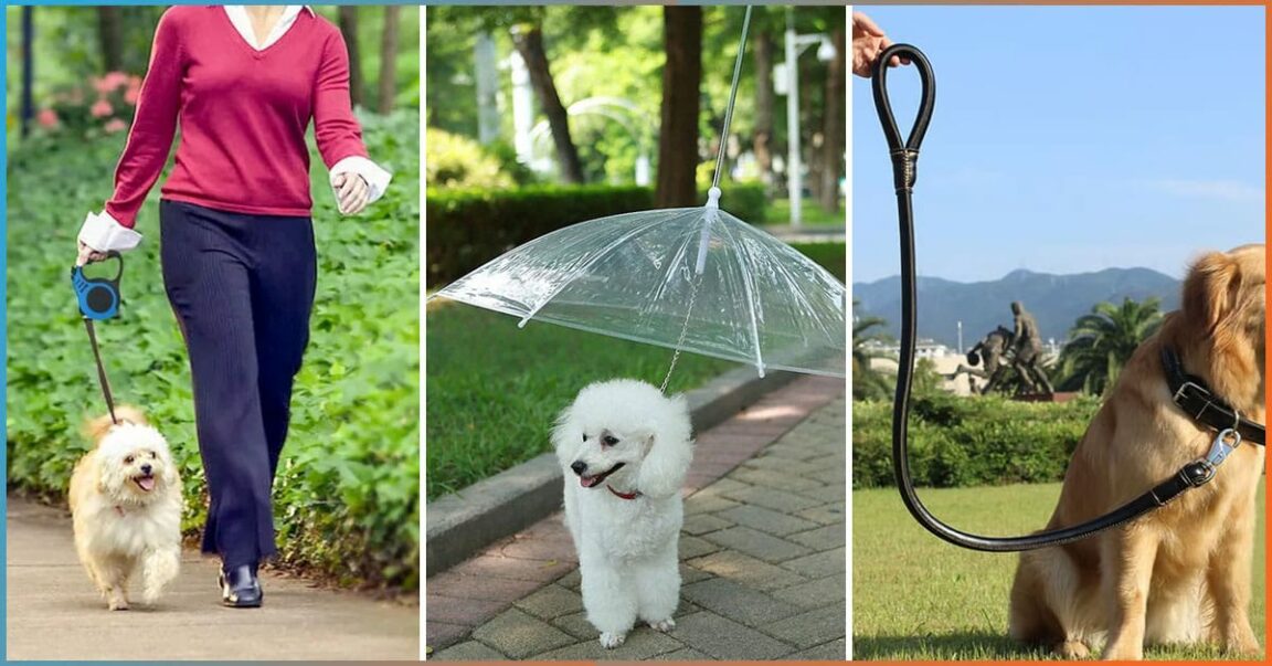 13 Best Dog Leashes For All Type Of Dogs In 2023