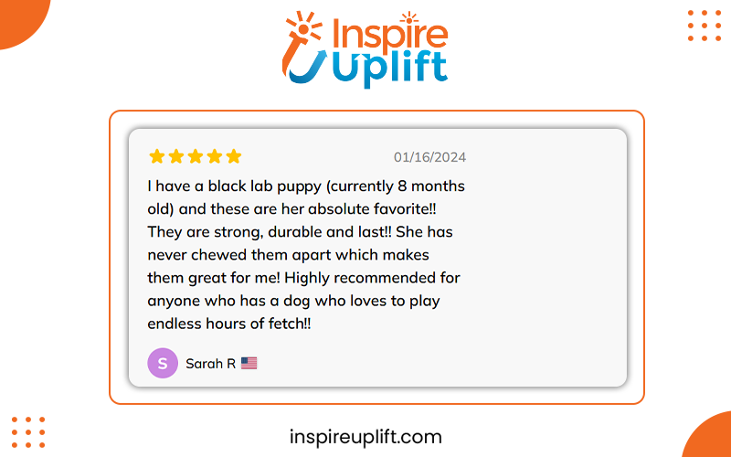Bouncing frisbee ball interactive review