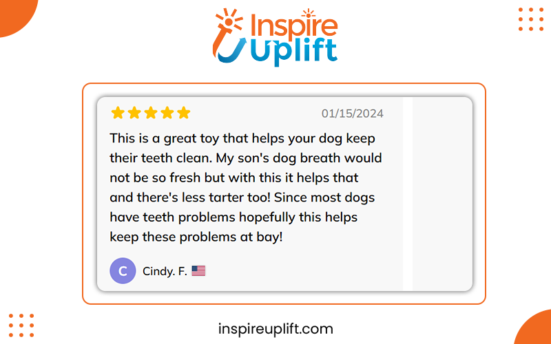 Dog suction cup review