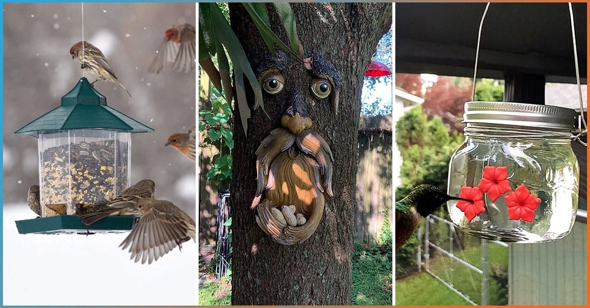 Best Bird Feeders