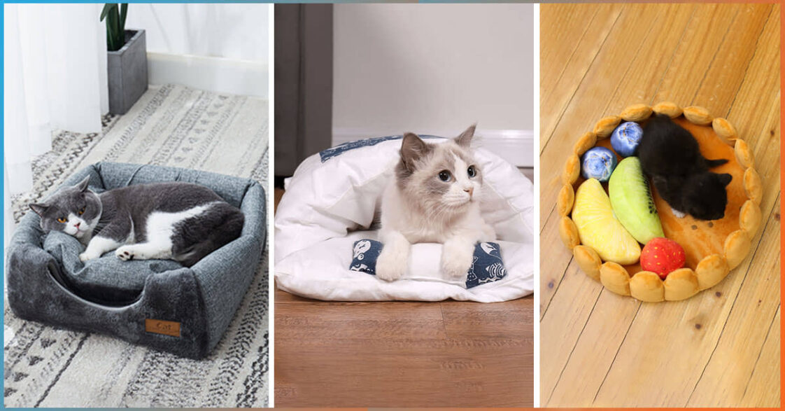 PurrFectly Cozy Our Top 10 Picks For The Best Cat Beds