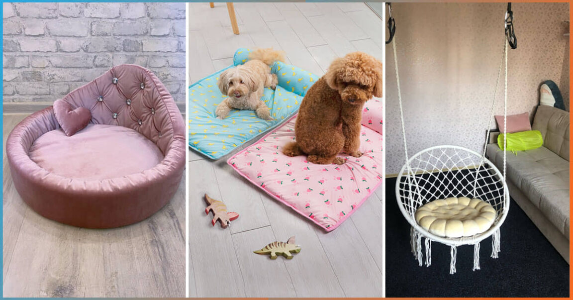 Easy To Clean 9 Best Washable Dog Beds In 2023