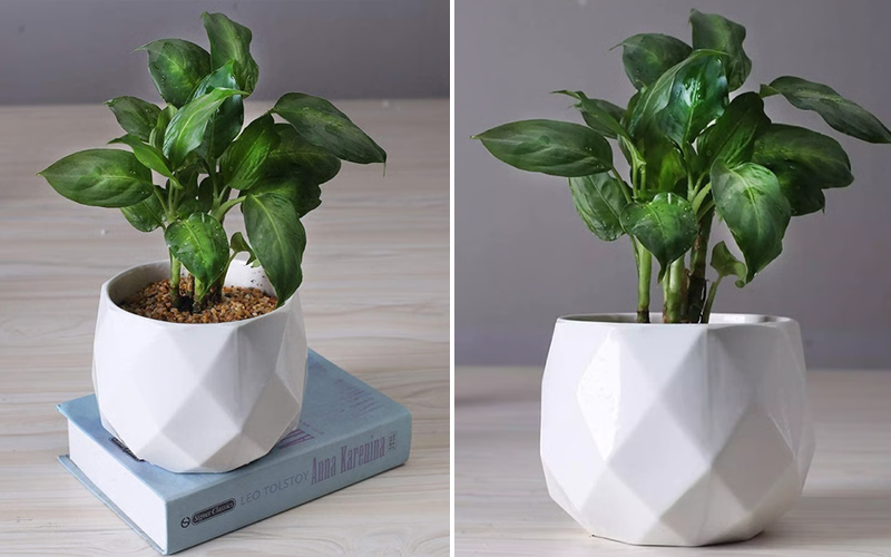 Ceramic Diamond Planter