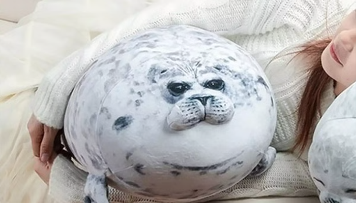 Fat Seal Plush Pillow & Cushion
