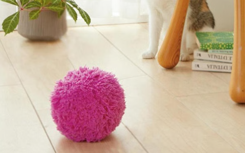 Active Rolling Ball