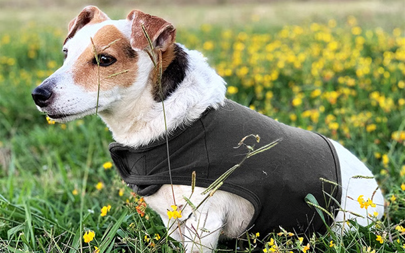 Anti-Anxiety Dog Vest