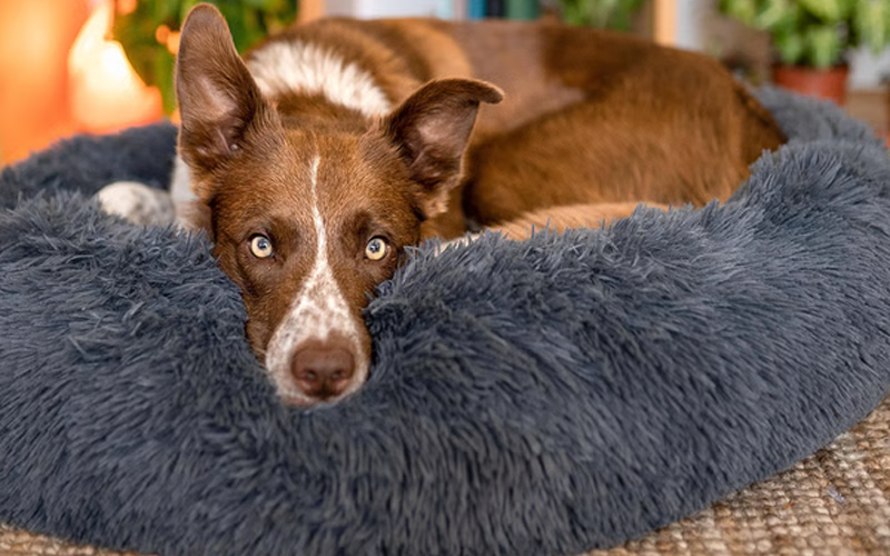 Comfy Faux Fur Pet Bed