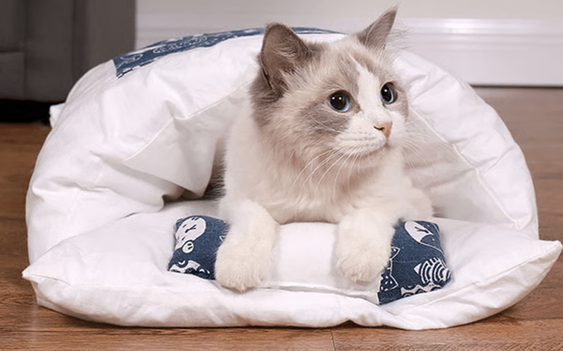 Cozy Cat & Dog Comforting Calming Bed