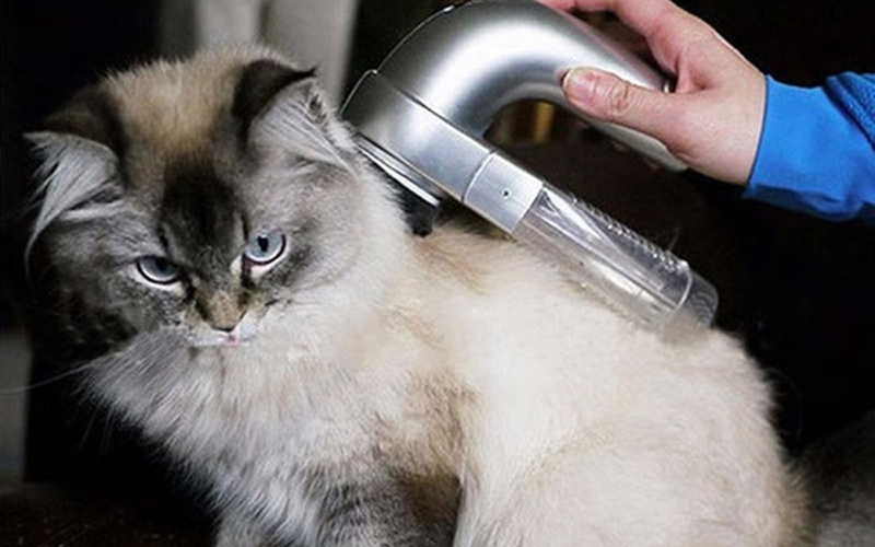 Portable Pet Hair Vacuum Cleaner