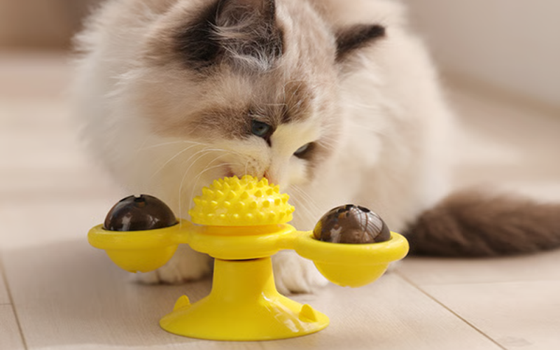 Rotating Windmill Cat Toy