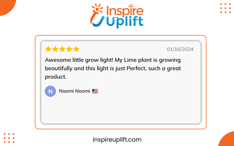 Grow Lights For Indoor Plants review image