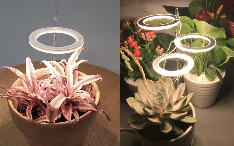 Grow Lights For Indoor Plants
