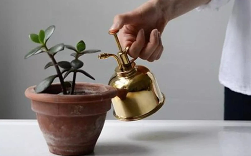 Mini Brass Plant Spray Mister