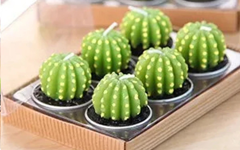 Mini Cactus Candles