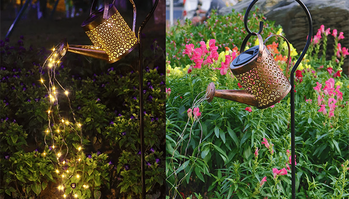 The Enchanted Watering Can
