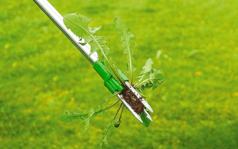 Weed Picker