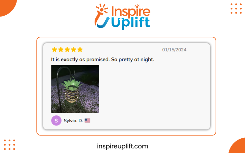 review image solar pineaple