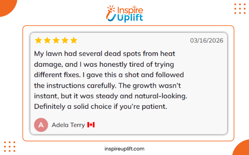 Hydro Mousse Lawn Repair Spray Review image