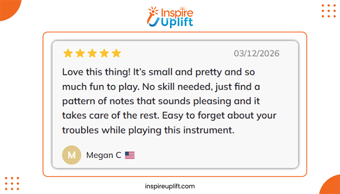 8 Tune Steel Tongue Drum Review image
