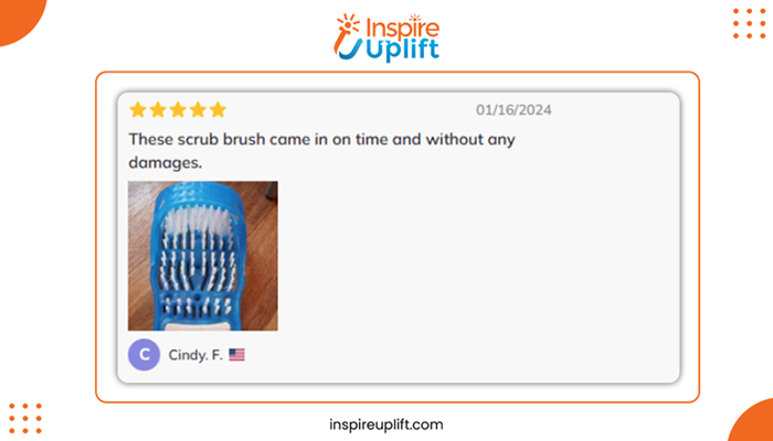 Exfoliating Sandal Brush Review Image