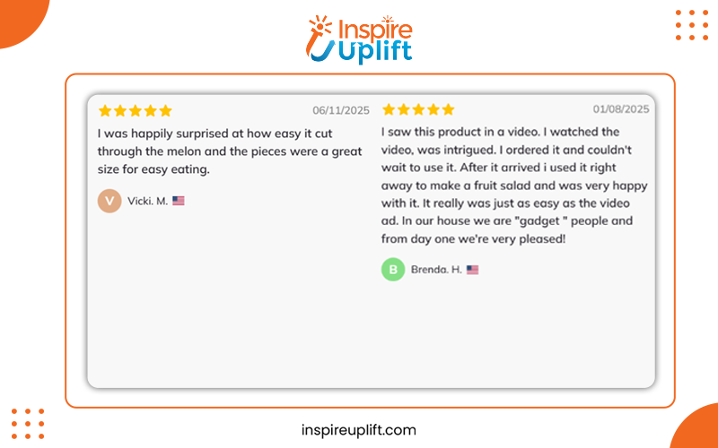 Melon Slicer Cutter Tool Review Image