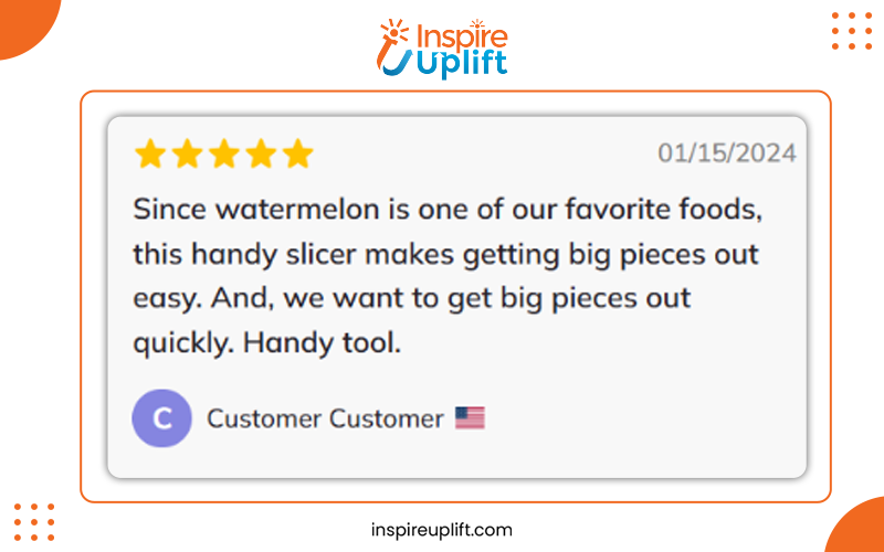 Stainless Steel Watermelon Fast Slicer Review Image