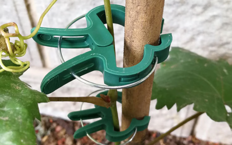 20 Pcs Plastic Plant Support Clips