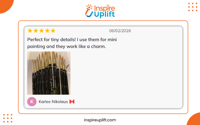 12 Piece Artist Paint Brush Set review Image