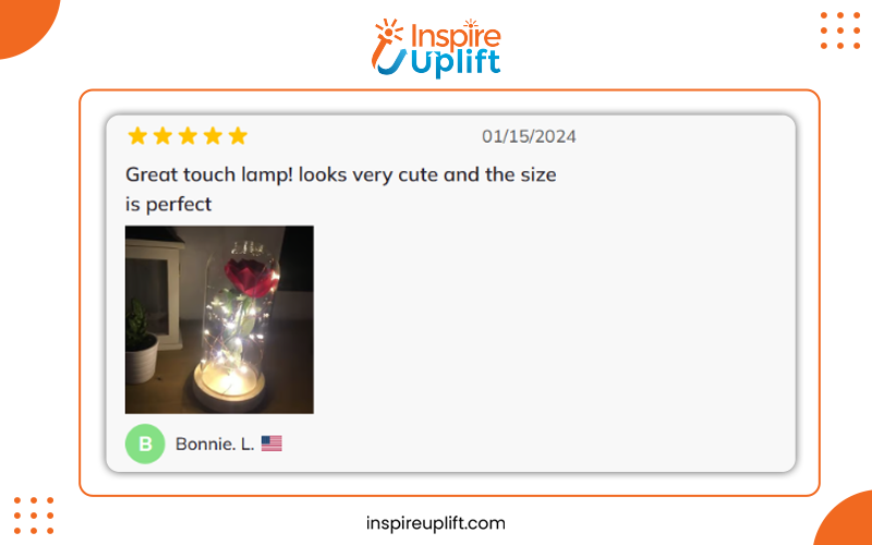 Enchanted Rose Flower Lamp Review Image